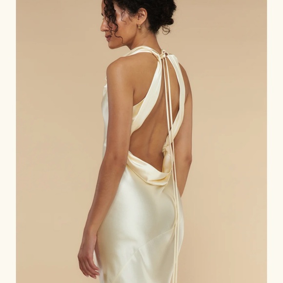 Mirror Palais Silk Dress - Picture 8 of 14